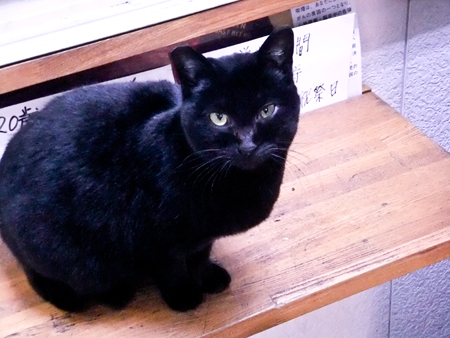 黒猫くんb.jpg